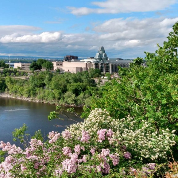 Meet your Posher, Niko - Picture 1 of 1